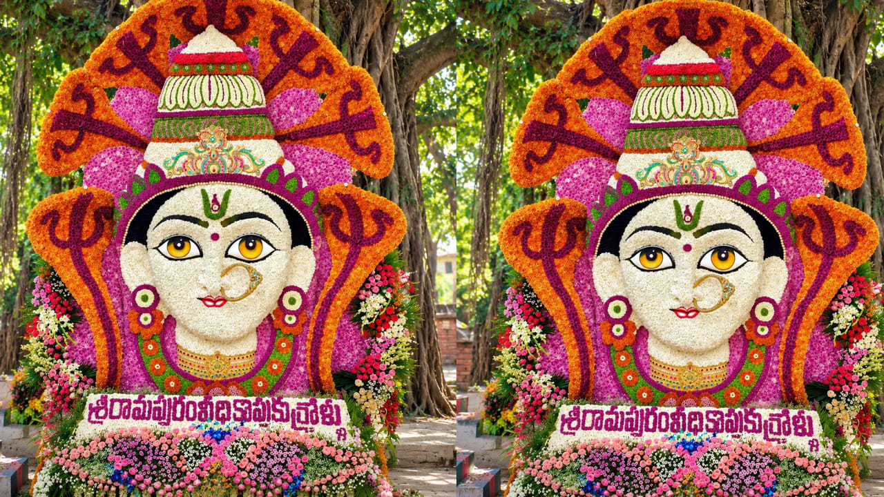 అదేవిధంగా నిర్వహించిన వినాయకుడి ఊరేగింపు కాకరపర్రు పురవీధుల్లో అత్యంత కోలాహలంగా సాగింది. సంప్రదాయ డప్పు వాయిద్యాలు, కంజేర చప్పుళ్ళు, బ్యాండ్ మేళాలు, బాణసంచా వెలుగుల నడుమ యువత, గ్రామస్థులు భక్తిపారవశ్యంతో పాల్గొన్నారు. కళాకారుల శూలాల వేషధారణలు ఊరేగింపులో ప్రత్యేక ఆకర్షణగా నిలిచాయి.