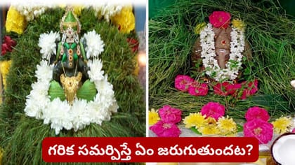 గణపతికి గరిక ఎందుకంత ఇష్టం? 21 గరిక పోచల వెనుక రహస్యం ఇదే!