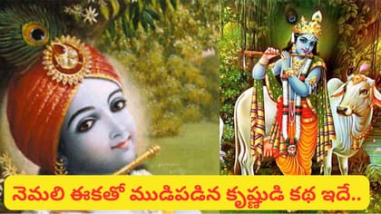 కృష్ణుడి కిరీటంలో నెమలి ఈకకే ఎందుకంత ప్రత్యేకత? అసలు కారణం ఇదే!