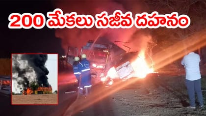 మంటల్లో చిక్కుకున్న లారీ.. 200 మేకలు, డ్రైవర్‌ సజీవ దహనం!