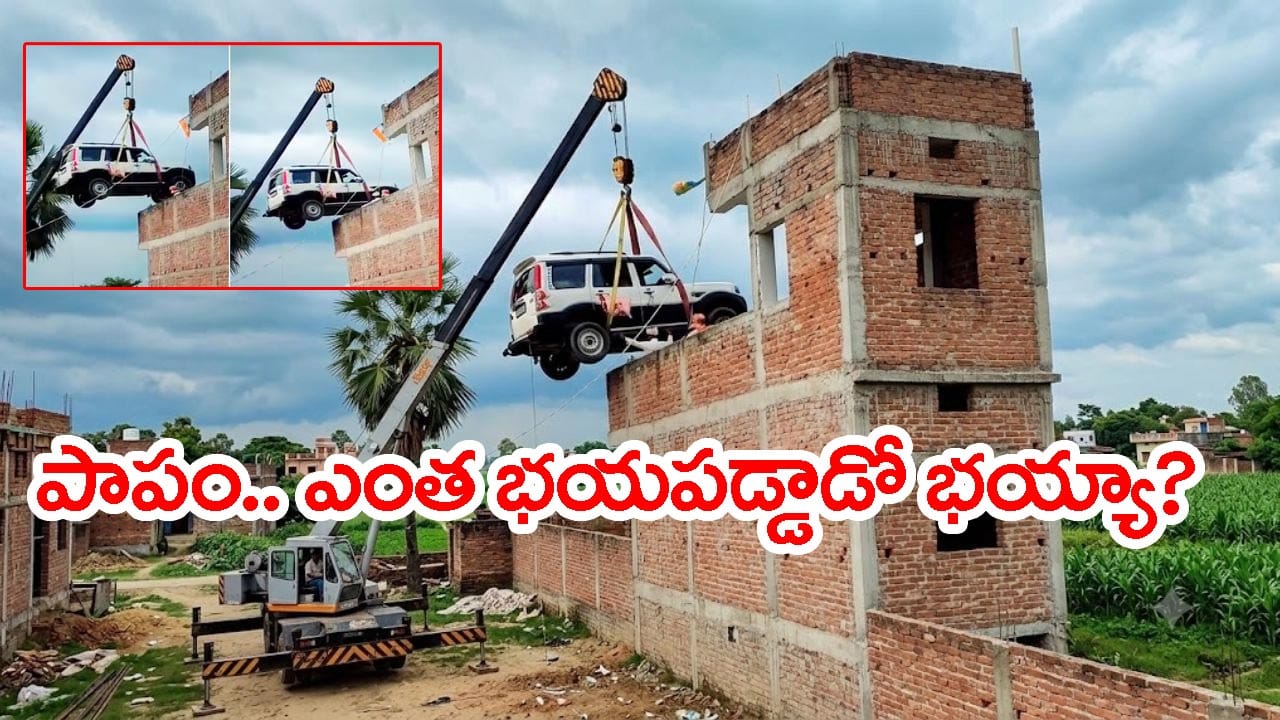 దొంగలు ఎత్తుకెళ్తారనీ.. ఏకంగా ఇంటి పైకప్పుపైకి కారు ఎక్కించిన యజమాని! వీడియో వైరల్
