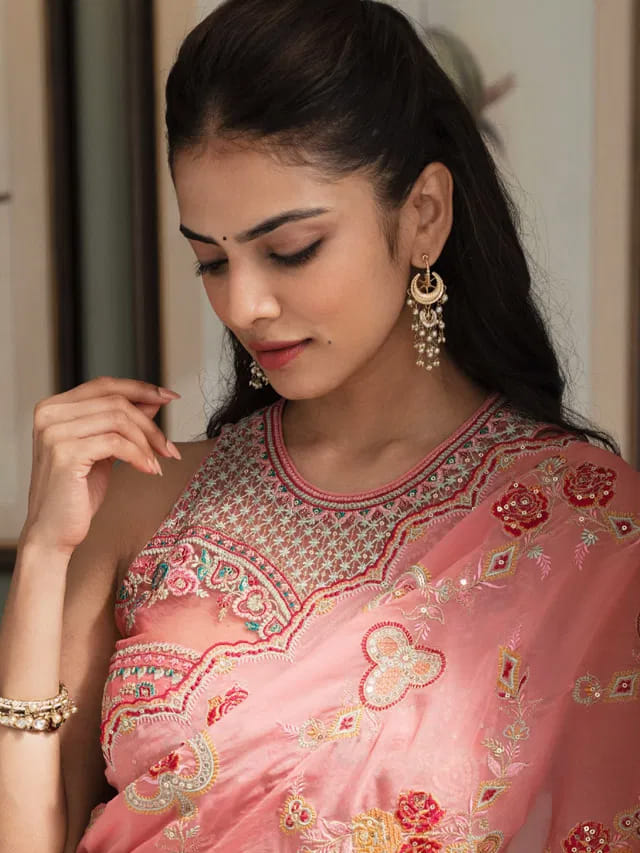 చీరలో అందమైన బొమ్మలా..మాళవిక క్యూ ట్ ఫొటోస్