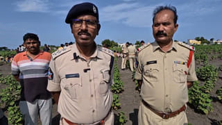 అత్తారింటికి వెళ్లిన అల్లుడు.. పంట పొలాల్లో విగతజీవిగా మారిన యువకుడు..!