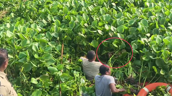 నీటి గెడ్డలో ఏదో కదలిక.. ఏంటా అని వెళ్లి చూడగా..