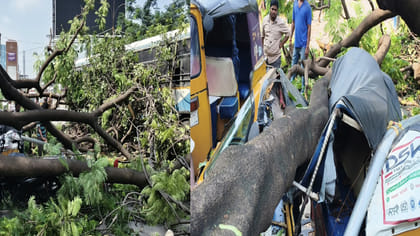 ఇదేందయ్యా ఇదీ.. ప్రమాదం ఇలా కూడా జరుగుతుందా.. వీడియో చూస్తే..