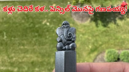 అబ్బురపరుస్తున్న అనకాపల్లి కళాకారుడి సూక్ష్మ కళాఖండం!