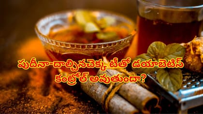 పుదీనా-దాల్చినచెక్క టీతో డయాబెటిస్ కంట్రోల్ అవుతుందా?