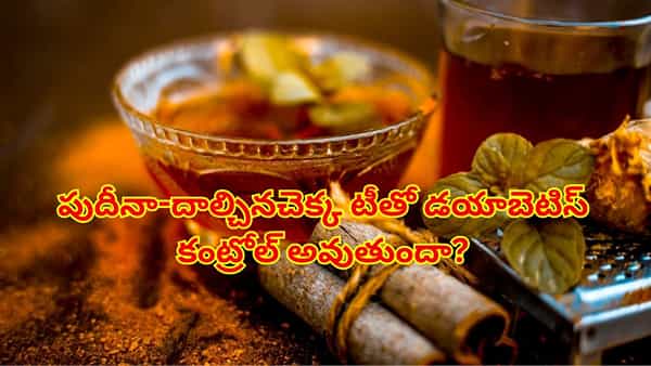 Fact Check: పుదీనా-దాల్చినచెక్క టీతో డయాబెటిస్ కంట్రోల్ అవుతుందా? అసలు నిజం ఏంటో తెలిస్తే..