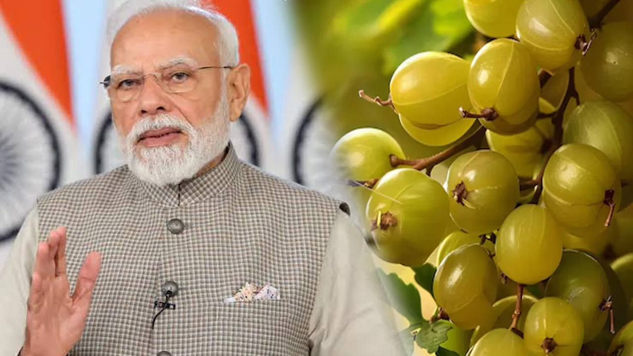 ఉసిరి గురించి మోదీ ఏం చెప్పారో తెలుసా?
