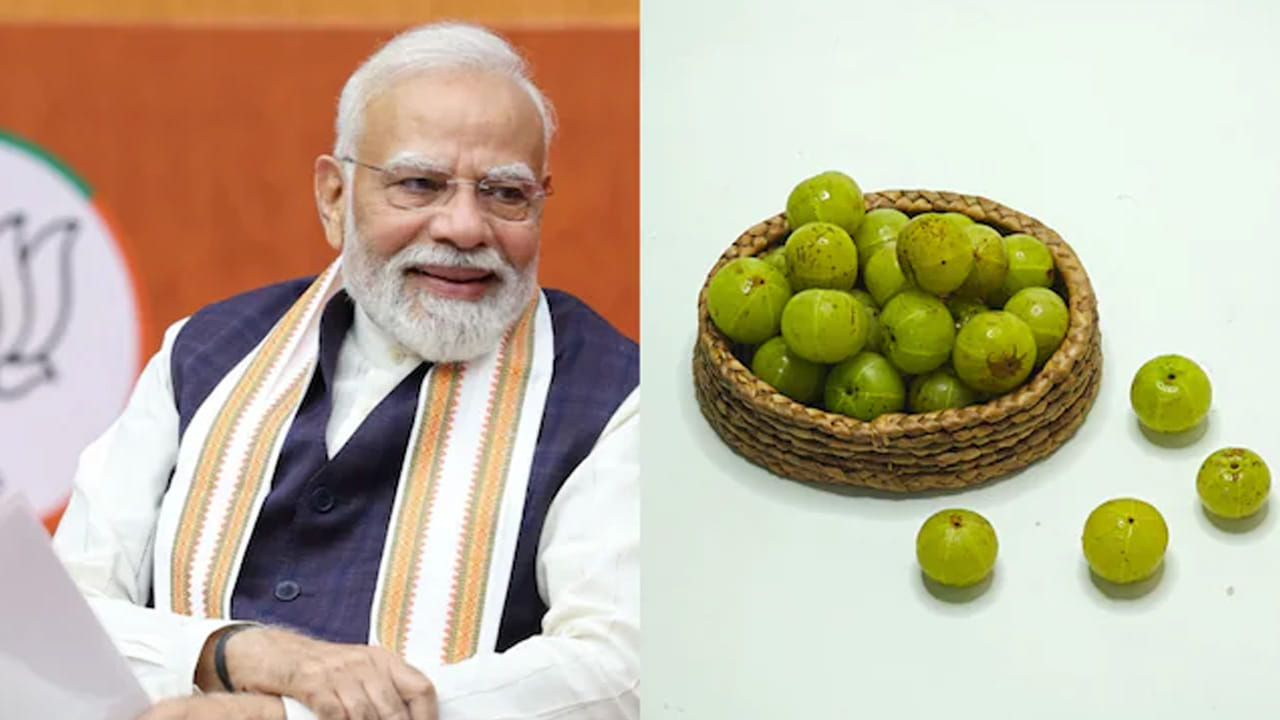 కేవలం ఉసిరి ప్రయోజనాలు తెలియజేయడమే కాకుండా, ఉత్తర ప్రదేశ్లోని ప్రతాప్గఢ్ జిల్లాకు ఉసిరికి ఉన్న అనుబంధం గురించి కూడా ఆయన మన్ కీ బాత్లో గుర్తు చేయడం జరిగింది. మోదీ జిల్లాను ప్రస్తావించి, అక్కడ వన్ డిస్ట్రిక్ట్ వన్ ప్రొడక్ట్ పథకం ద్వారా ఉసిరి సాగు, ప్రాసెసింగ్ కు కొత్త ఊపు వచ్చిందని తెలిపారు. అంతే కాకుండా మహిళల ఆర్థిక స్వావలంబన కోసం అది ఎంతో ఉపయోగకరంగా ఉందని, జిల్లాలో దాదాపు 100 ఉసిరి ప్రాసెసింగ్ యూనిట్లు పని చేస్తున్నాయని తెలిపారు. అంతే కాకుండా ఇక్కడ మహిళా స్వయం సహాయక సంఘాలు కీలక పాత్ర పోషిస్తున్నాయని మోదీ వెల్లడించారు.