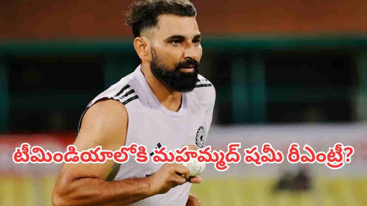 Mohammed Shami: టీమిండియాలోకి మహమ్మద్ షమీ రీఎంట్రీ?.. దులీప్ ట్రోఫీ ఫైనల్పైనే సెలెక్టర్ల కన్ను