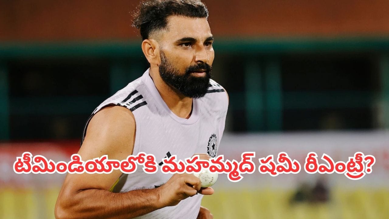 Mohammed Shami: టీమిండియాలోకి మహమ్మద్ షమీ రీఎంట్రీ?.. దులీప్ ట్రోఫీ ఫైనల్పైనే సెలెక్టర్ల కన్ను