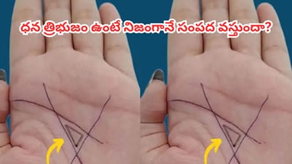 అరచేతిలో ఈ ధన త్రిభుజం ఉందా? డబ్బు విషయంలో అదృష్టవంతులేనట!