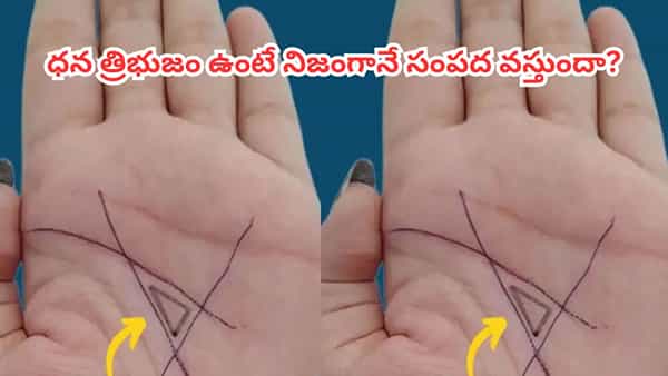 అరచేతిలో ఈ ధన త్రిభుజం ఉందా? డబ్బు విషయంలో అదృష్టవంతులేనట!