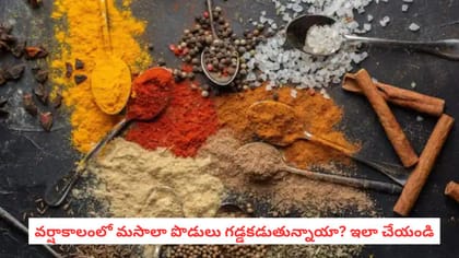 వర్షాకాలంలో మసాలా పొడులు గడ్డకడుతున్నాయా? ఇలా చేయండి