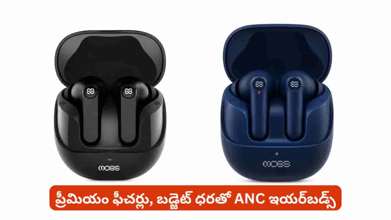 ధర, బ్యాటరీ, ఫీచర్లతో పిచ్చెక్కిస్తున్న ANC ఇయర్బడ్స్