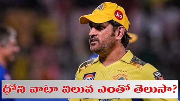 MS Dhoni: సీఎస్కేలో ధోనీకి వాటా ఎంత.. విలువ ఎంతో తెలుసా..?
