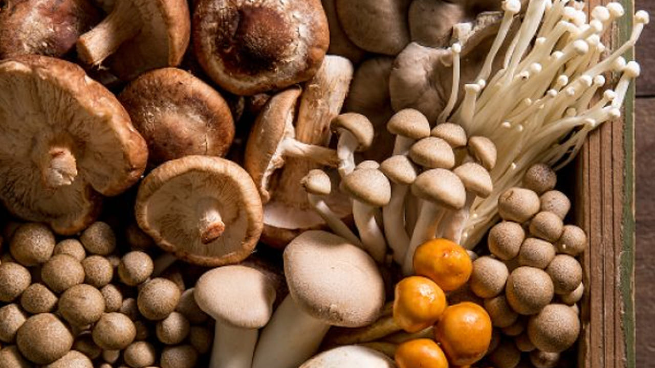 Mushrooms