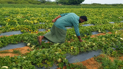 పంట మార్పిడితో రైతు పంట పండింది..