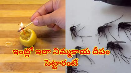 నిమ్మకాయ,లవంగాలతో దోమలను ఇంట్లోంచి ఈజీగా తరిమేయండి..ఖర్చులేని పని