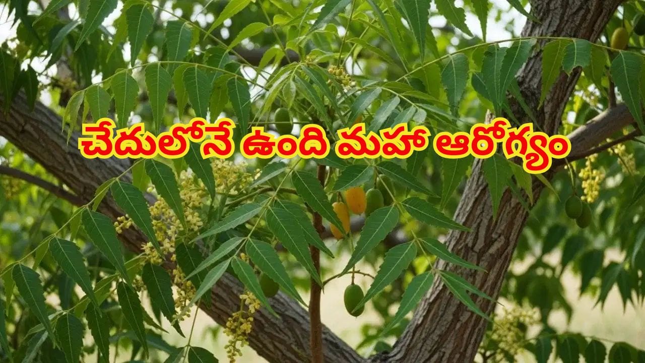 Telugu News Headlines | Nimisham