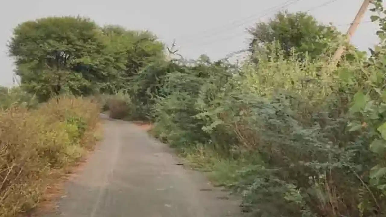 Telangana: ముళ్ల పొదల్లోంచి వింత శబ్దాలు.. దగ్గరకెళ్లి చూడగా గుండె పగిలే సీన్.. వీడియో చూడండి..