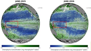 Godzilla El Nino: దూసుకొస్తున్న గాడ్జిల్లా ఎల్ నినో.. పసిఫిక్‌లో మార్పులను గుర్తించిన ఇస్రో ఉపగ్రహం!