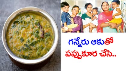 గన్నేరు ఆకులతో పప్పు కూర.. అంగన్‌వాడీ భోజనం తిని 5గురికి అస్వస్థత