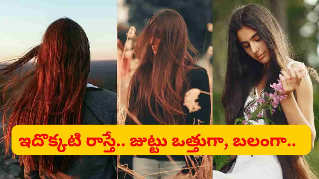 అరెరె ఇన్ని రోజులు తెలిలేదే.. జుట్టు నల్లగా, ఒత్తుగా పెరగాలంటే ఇదొక్కటి వాడండి..