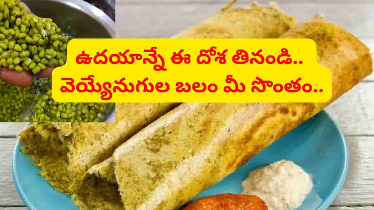 అబ్బబ్బ.. ఆరోగ్యకరమైన టేస్టీ టిఫిన్ ఇదే.. ఈ దోశ తింటే శరీరానికి సూపర్ బలం..