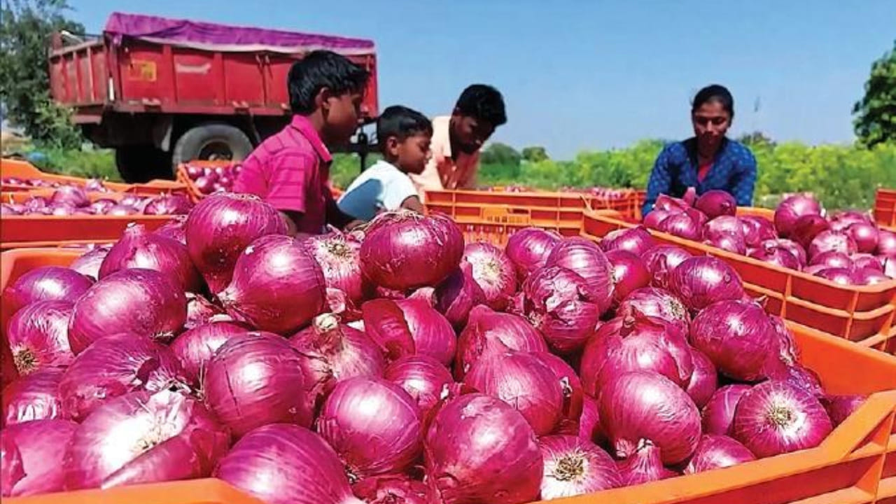  ఉల్లి గడ్డ ధరలు రోజురోజుకూ పెరుగుతుండటంతో సామాన్యుల వంటింటి బడ్జెట్‌ కుదేలవుతోంది. నెల రోజుల వ్యవధిలోనే ఉల్లి ధరలు భారీగా పెరగడంతో మార్కెట్‌కు వెళ్లిన గృహిణులు ధరలు చూసి బెంబేలెత్తుతున్నారు.పది రోజుల క్రితం కిలో ఉల్లి 50 నుంచి 60 రూపాయలు పలకగా.. ప్రస్తుతం మంచి నాణ్యత కలిగిన ఉల్లి 70 నుంచి 80 రూపాయల వరకు చేరింది.