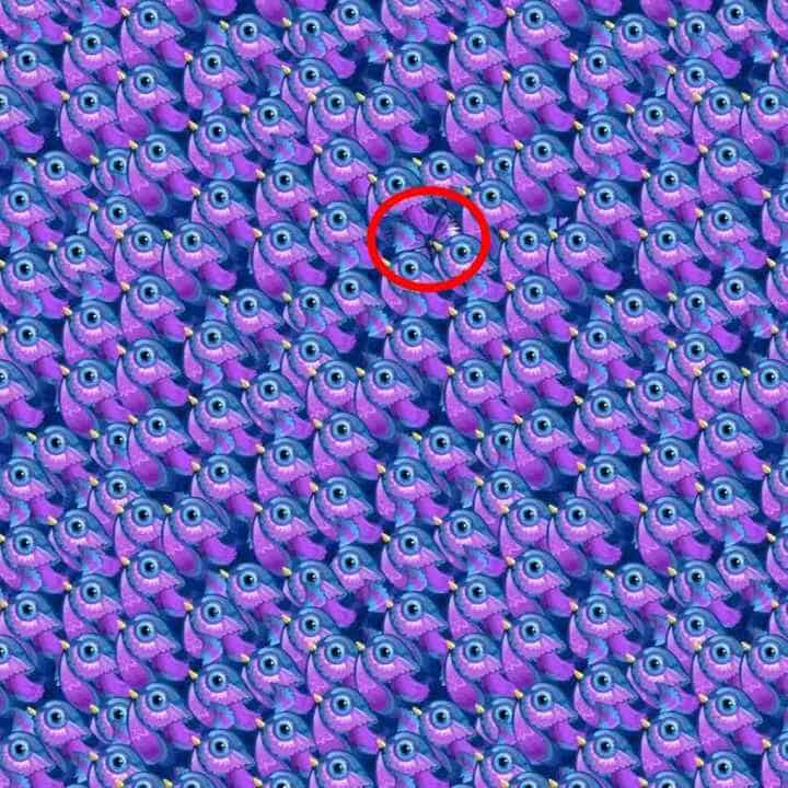 optical illusion
