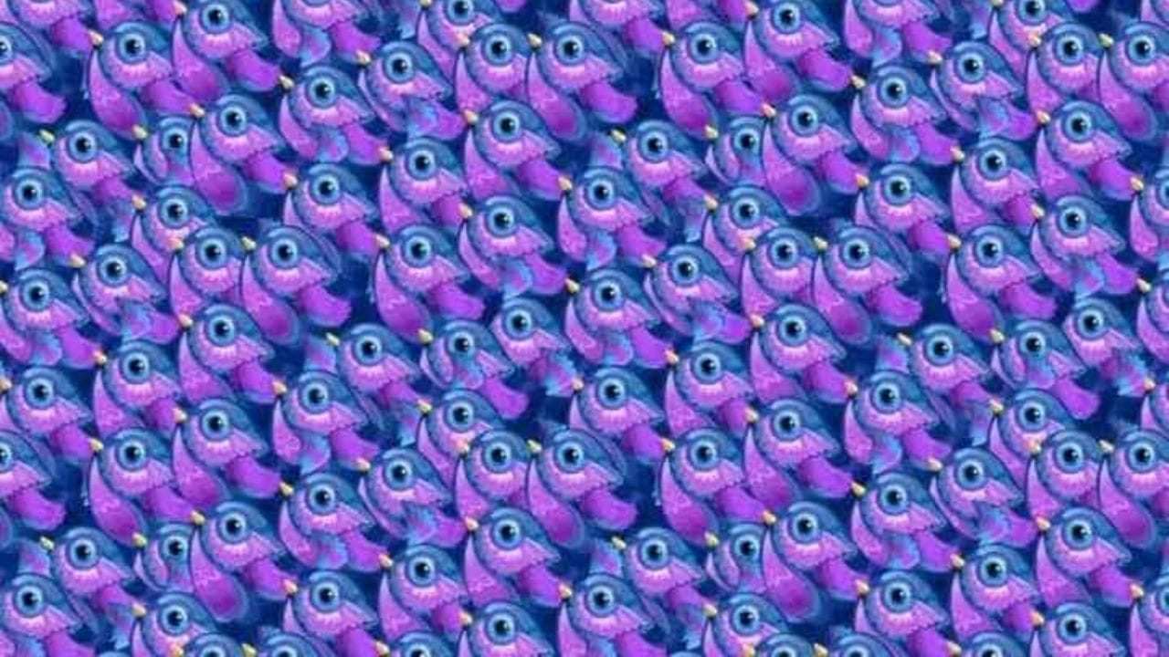 Optical Illusion : మీ కళ్లు షార్పేనా.. ఈ చిత్రంలో ఉన్న సీతాకోక చిలుకను 6 సెకన్లలో కనిపెట్టండి!