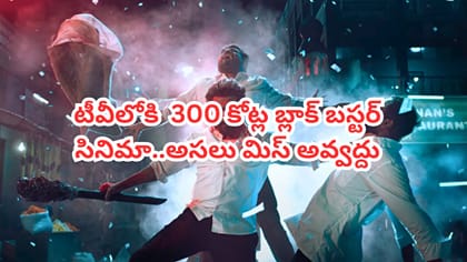 థియేటర్లలో 300 కోట్లు.. OTTలో రికార్డు వ్యూస్.. ఇప్పుడు టీవీలో..
