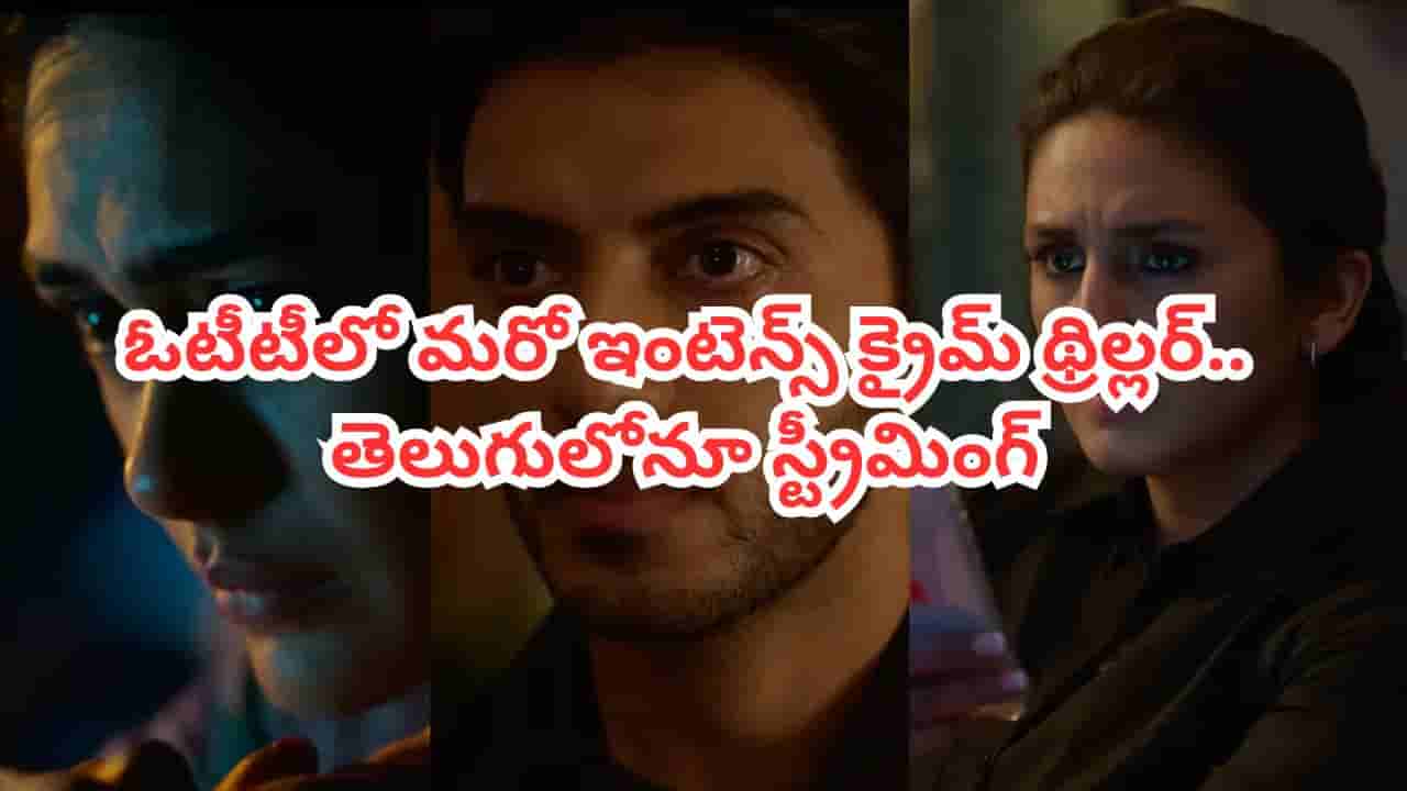 OTT Movie: బాయ్ఫ్రెండ్ ఆత్మహత్య.. గర్ల్ఫ్రెండ్ అరెస్ట్.. ఓటీటీలో మరో ఇంటెన్స్ క్రైమ్ థ్రిల్లర్.. తెలుగులోనూ చూడొచ్చు