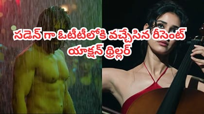 సడెన్‌గా ఓటీటీలోకి వచ్చేసిన సూపర్ హిట్ యాక్షన్ థ్రిల్లర్