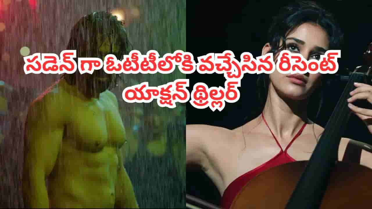 OTT Movie: థియేటర్లలో కలెక్షన్ల వర్షం.. సడెన్గా ఓటీటీలోకి వచ్చేసిన యాక్షన్ థ్రిల్లర్.. IMDBలో టాప్ రేటింగ్