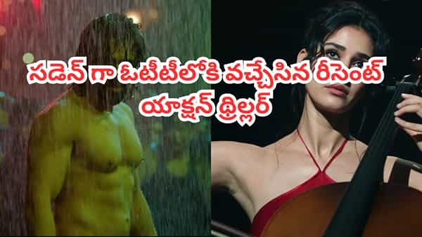 OTT Movie: థియేటర్లలో కలెక్షన్ల వర్షం.. సడెన్గా ఓటీటీలోకి వచ్చేసిన యాక్షన్ థ్రిల్లర్.. IMDBలో టాప్ రేటింగ్