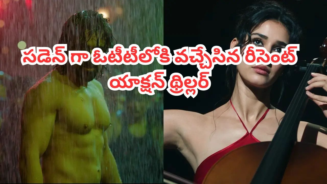 OTT Movie: థియేటర్లలో కలెక్షన్ల వర్షం.. సడెన్గా ఓటీటీలోకి వచ్చేసిన యాక్షన్ థ్రిల్లర్.. IMDBలో టాప్ రేటింగ్