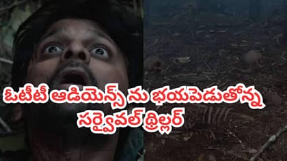 ఈ అడవిలోకి అడుగుపెడితే చావే.. OTTలోని ఈ మిస్టరీ థ్రిల్లర్ చూశారా?