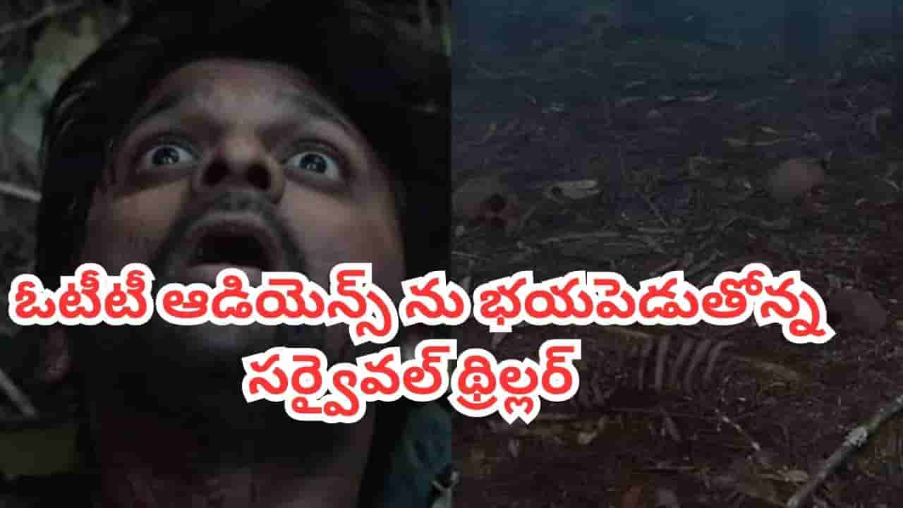 OTT Movie: ఈ అడవిలోకి అడుగుపెడితే చావే.. ఓటీటీ టాప్ ట్రెండింగ్లో మిస్టరీ థ్రిల్లర్.. IMDBలో 7.9 రేటింగ్