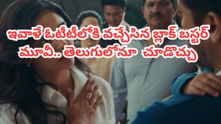 OTT Movie: ఇవాళే ఓటీటీలోకి వచ్చేసిన 260 కోట్ల బ్లాక్ బస్టర్.. తెలుగులోనూ స్ట్రీమింగ్.. IMDBలో టాప్ రేటింగ్