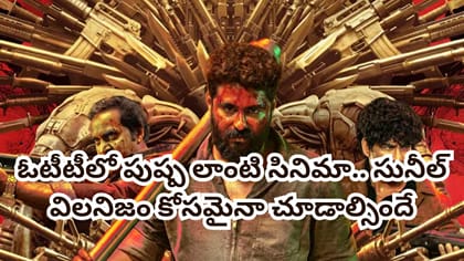 పుష్ప లాంటి సినిమా.. మరో ఓటీటీలోకి వచ్చిన సునీల్ సూపర్ హిట్ మూవీ