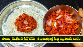 Pachi Ullipaya Karam: పొయ్యి వెలిగించే పనే లేదు.. 2 నిమిషాల్లో పచ్చి ఉల్లిపాయ కారం