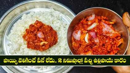 పొయ్యి వెలిగించే పనే లేదు.. 2 నిమిషాల్లో పచ్చి ఉల్లిపాయ కారం