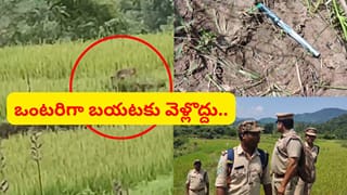 వామ్మో.. చిరుతొచ్చింది.. ఒంటరిగా బయటకు వెళ్లొద్దు.. ఇదిగో వీడియో