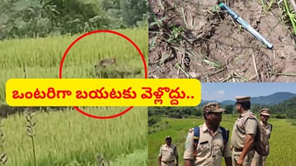 వామ్మో.. చిరుతొచ్చింది.. ఒంటరిగా పొలాల్లోకి వెళ్లొద్దు.. వీడియో