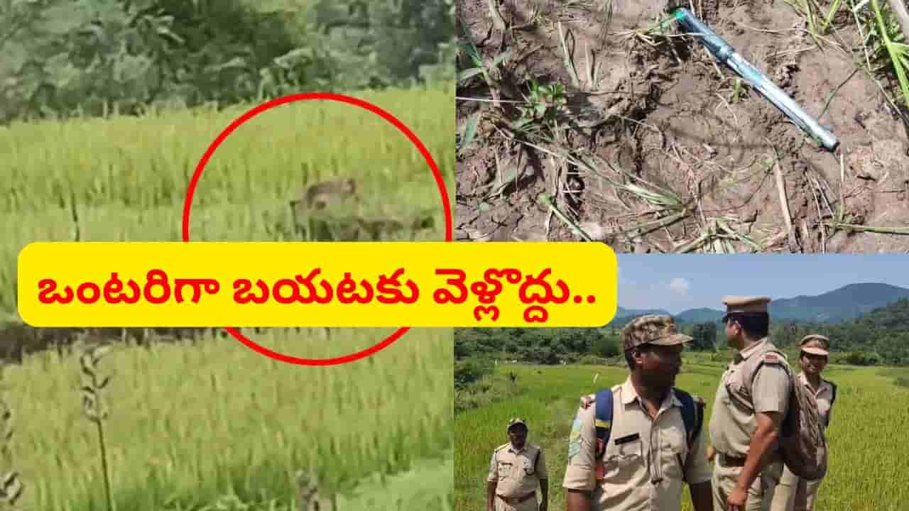 వామ్మో.. చిరుతొచ్చింది.. ఒంటరిగా బయటకు వెళ్లొద్దు.. ఇదిగో వీడియో