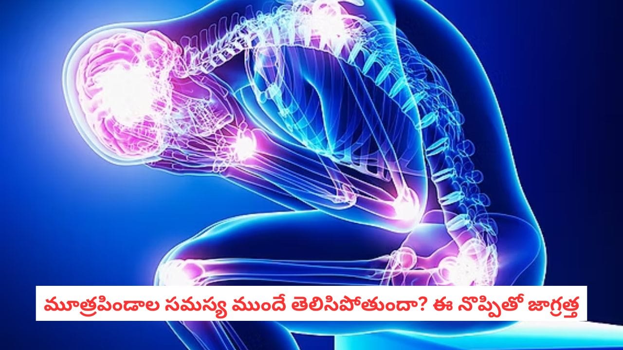Kidney Damage Warning Signs: కిడ్నీ డ్యామేజ్కి ఈ నొప్పులు సంకేతాలా? శరీరంలోని ఈ చోట్ల నొప్పిని అస్సలు నిర్లక్ష్యం చేయొద Kidney Damage Warning Signs: కిడ్నీ డ్యామేజ్కి ఈ నొప్పులు సంకేతాలా? శరీరంలోని ఈ చోట్ల నొప్పిని అస్సలు నిర్లక్ష్యం చేయొద