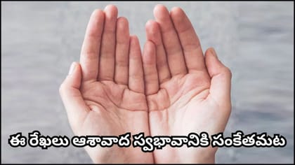 అరచేతిలో జీవిత రేఖ నుంచి పైకి గీతలు ఉన్నాయా? అయితే ఈ శుభసూచన మీకే